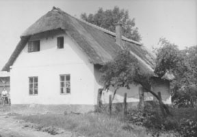 eika image